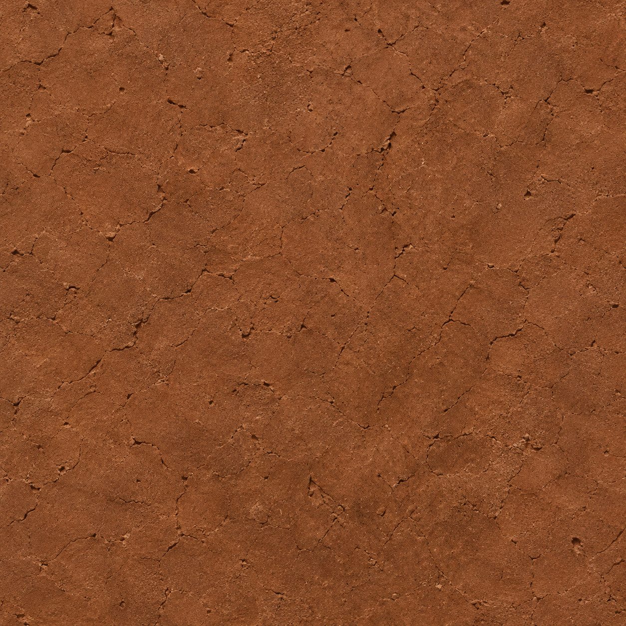 A rust-terracotta mineral surface with fine relief and small pores.