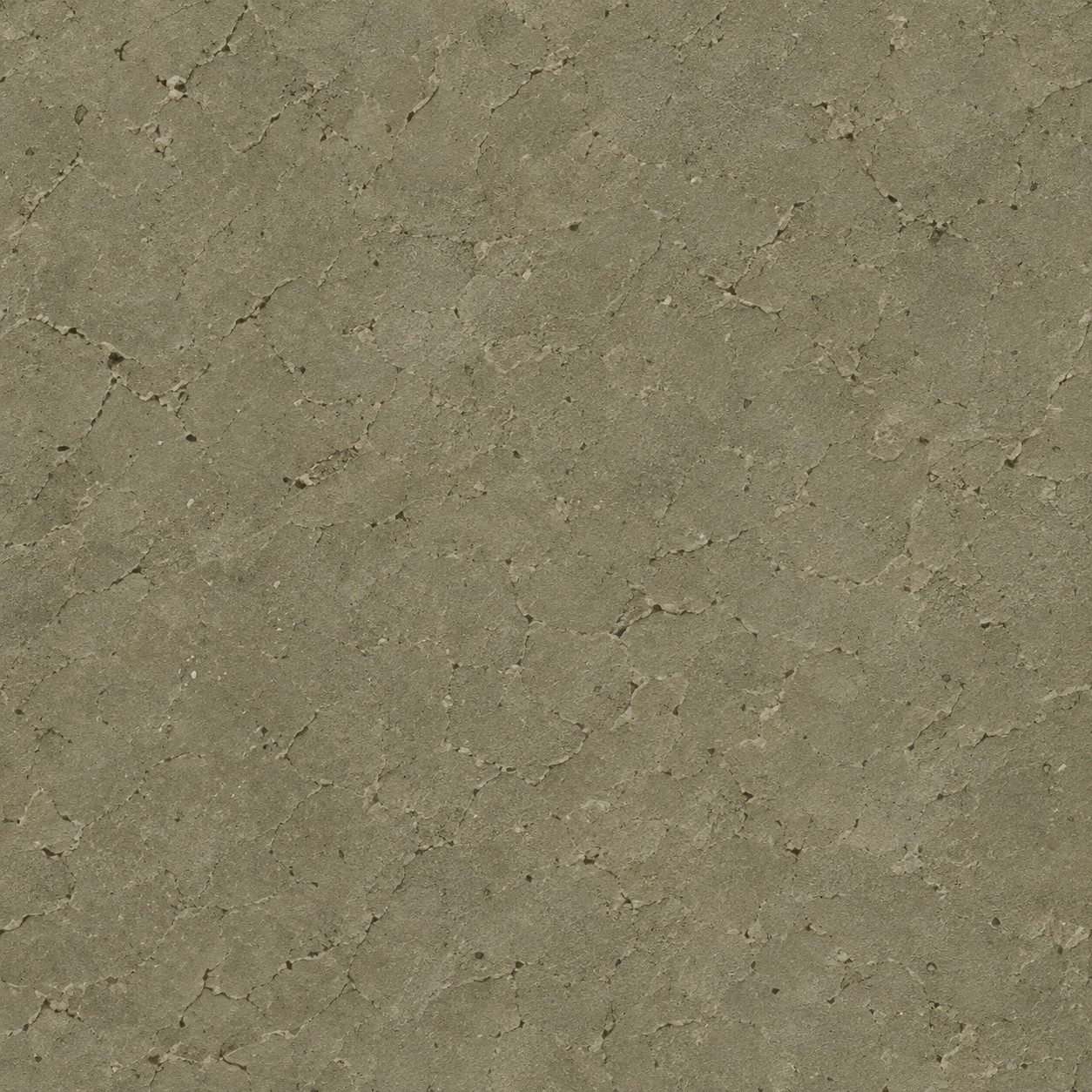 A muted olive-green mineral surface with fine pores and gentle mottling.